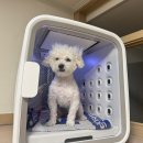 씨유용산경찰서점 | いつか