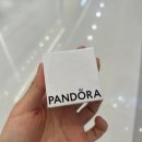 판도라구제 | 판도라 귀걸이 변색, 무료 세척 서비스 이용 후기 / 크레센트몰 PANDORA 매장