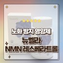 노화 예방에 좋은 영양제 뉴벨라 레스베라트롤 NMH 섭취 후기