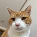 씨유 거제장평점 | ~Nov 27 : 내가 뻑킹락스타?! 탈락도 락이다,,,ㅋ