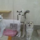 미소동물병원 이미지