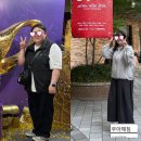 우아해 | 칠곡PT 후기에서 자주 보이는 만족 포인트 – 대구칠곡PT 우아해짐 리얼 후기