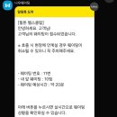 나우썬 | [힐튼 경주] 유레카 수영장 체크인 전 입장 방법 후기 (당일 오후권 입장 썬베드 명당 타이밍)