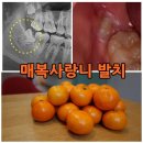 블루덴치과의원 이미지