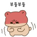 이엘붙임머리