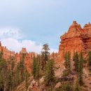 꺼먹지명태조림 대전월평점 이미지