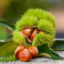 국산요리반찬 이미지