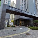 더포레스트 이미지