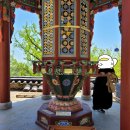 바바벨리 이미지