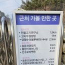 해장하고 싶을때가는 양평 옥천냉면 황해식당
