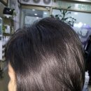 향기나라 이미지