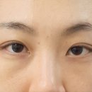 영앤유스
