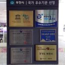 창의와도시