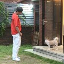 순이농장 이미지