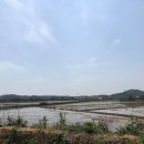 현덕초등학교광덕분교장 이미지