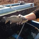 톨게이트 낚시터 이미지