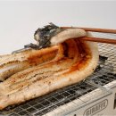 통통민물장어