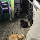 씨유 방화또오기점 이미지