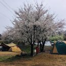 용인반딧불캠핑장 이미지
