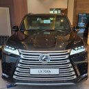 엘앤티렉서스(주) 서초지점 | [리뷰] 2025 렉서스 LX700h 정식런칭! &#34;정통 럭셔리 SUV&#34; 전시 시승 출고 포토 서초전시장