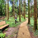 수망리 산마장 잣성 이미지