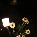 보리하우스 이미지