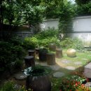 국화정원 이미지