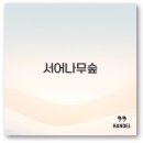 남원 운봉 서어나무숲 꽃 열매 군락지 힐링 프로그램 깔끔 정리