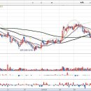 신성옵틱 이미지