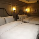 브라운도트 엑스코점 이미지