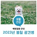 영민동물병원 이미지