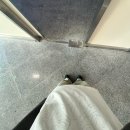 부민약국 | 두더지랑 티라노 싸우면 누가 이기나요