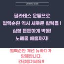 뉴바디필라테스&멀티트레이닝센터 이미지