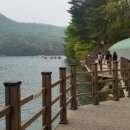 산정파인트리 | 산정호수 펜션 파인트리펜션(복층) 이용 후기