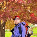 제219회 11월 정기산행 옥천 장령산 산행기념사진4 이미지