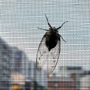 염소농장 이미지