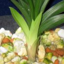 올젠테크놀로지 이미지