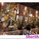 만두 요리가되다 이미지