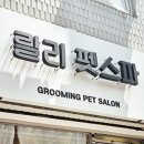 릴리 펫스파 이미지