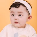 종려나무사진관