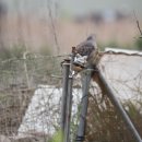 안흥초신진분교 이미지