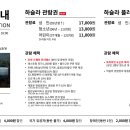 하슬라투어 네이버블로그