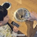 보초등록 | 세종 스타벅스 모닝세트 가격 더블에그브렉퍼스트 앤 체다샌드위치 세트 새롬동 카페 솔직후기