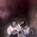 다정한 세계 이미지