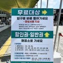 순천만국가정원여행 다녀온 후기 5월 봄 데이트 강추
