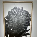 해운대로452번길 이미지