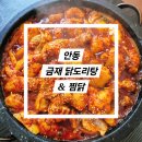 닭도리탕 | [안동 맛집] 안동 하회마을 맛집 &#39;금재 닭도리탕&amp;찜닭&#39; 내돈내산 현지인 닭도리탕 후기