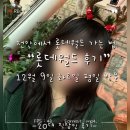 놀스타일 | 롯데월드 후기_12월 평일 방문/천안에서 롯데월드 가는 법/ 크리스마스 축제/ 롯데월드 혼잡도