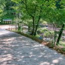 청평자연휴양림 이미지