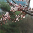꽃을;보다 이미지